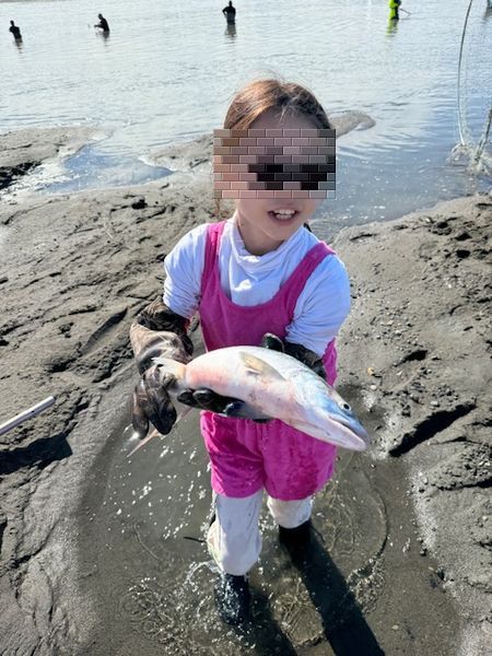 サーモン捕り2024！