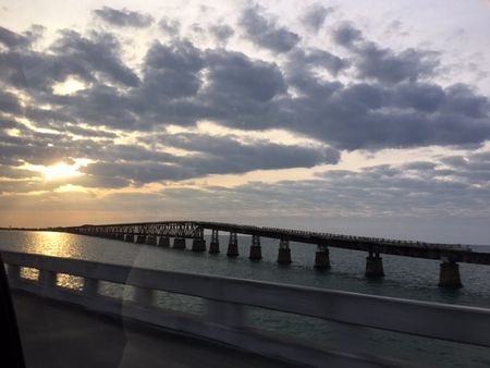 フロリダ旅行3～Everglades National Park（Flamingo編）