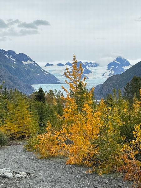 Homer旅行③～水上タクシーで氷河へ