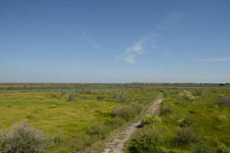 Galveston Island State Park～お散歩編