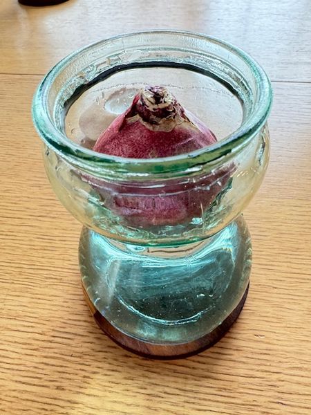 冬時間を愉しむ