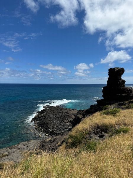 ハワイの旅⑲～ペレの椅子