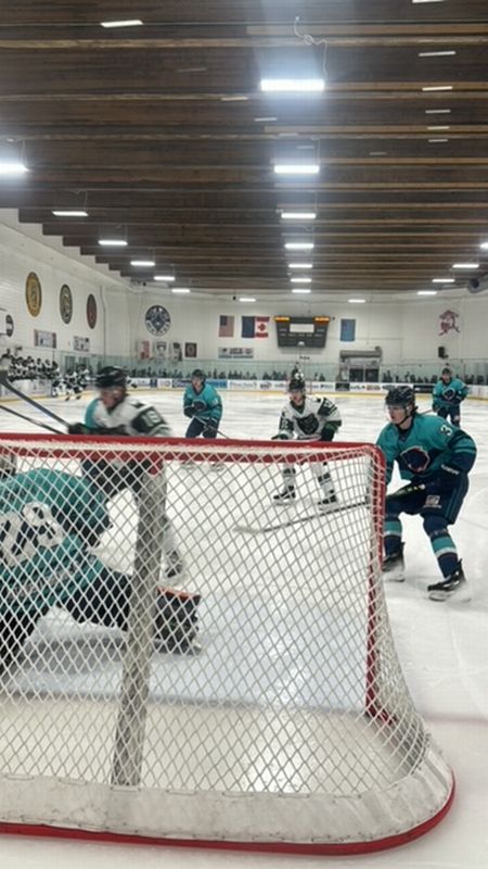 アイスホッケーの試合へ