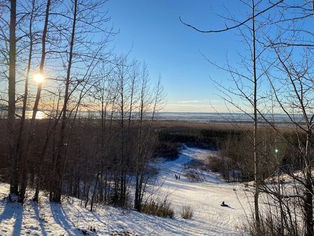 クロカンスキーと橇滑り