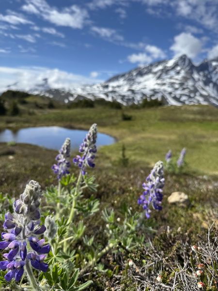 IMG_2249