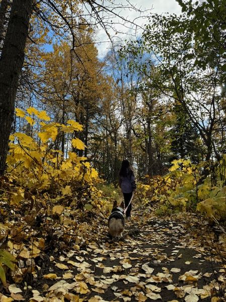 サイクリングと砂浜～Kincaid