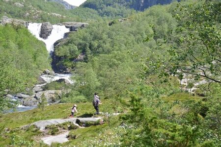 夏休みに入りました。