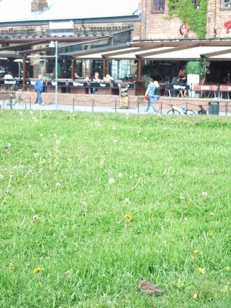 生き物のいる風景