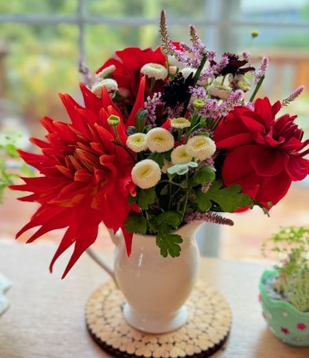 長女の交渉術～キャビンにお泊り