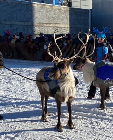 トナカイと走るチャリティレース