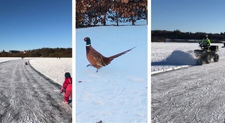 アイススケート