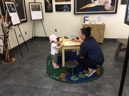 フロリダ旅行5～Everglades NP（Shark Valley編) & Big Cypress National Preserve