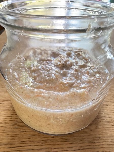 菌と共に暮らす～水泳キャンプ