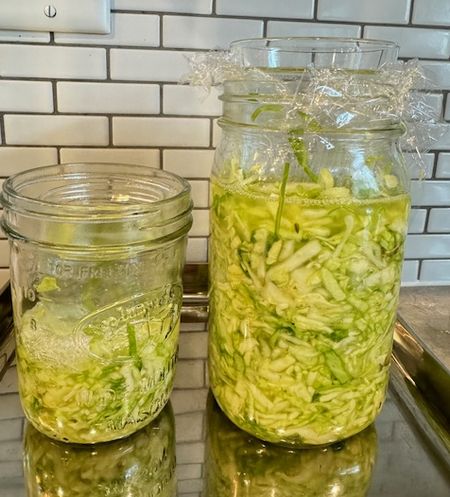 食べ物からみる世界