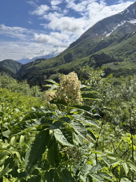 IMG_2389