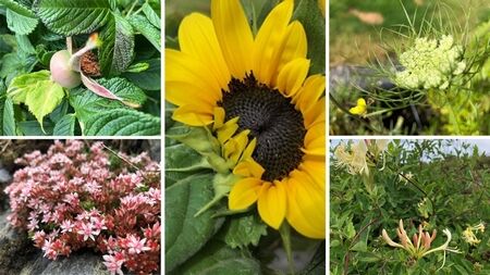 夏休み3週目の記録