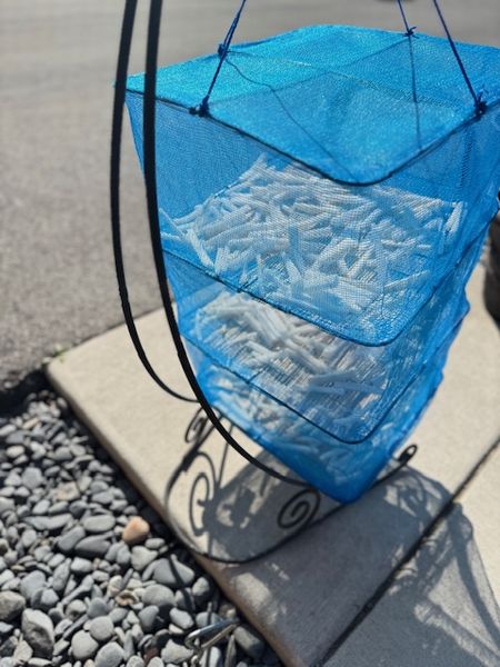 大根天日干し～ファスティング