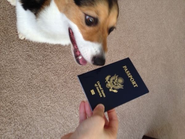 米国パスポート届く