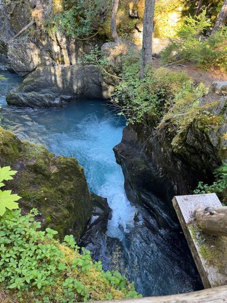 国立公園をお散歩～ランチ