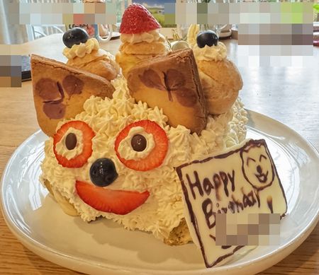 二女の誕生日～ライオンケーキ？