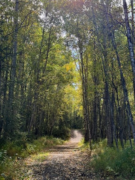 Campbell Park～秋のお散歩