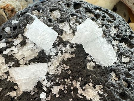 ハワイの旅⑯～深海の塩