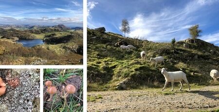 おもちゃ離れ！？