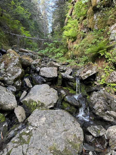 IMG_2397