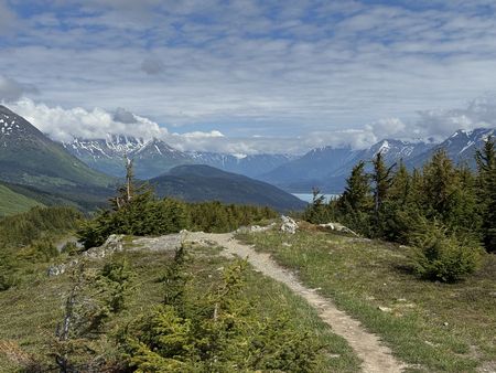 IMG_2233
