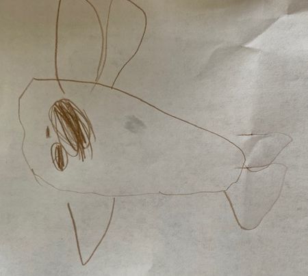 ブルーカーボンって何？