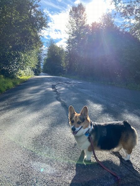 秋のルーチン～夫との連携
