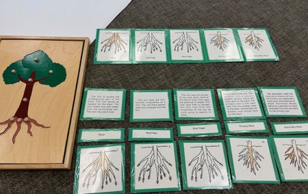 ボランティア25から28週目の記録