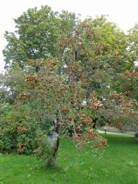秋学期の中休み
