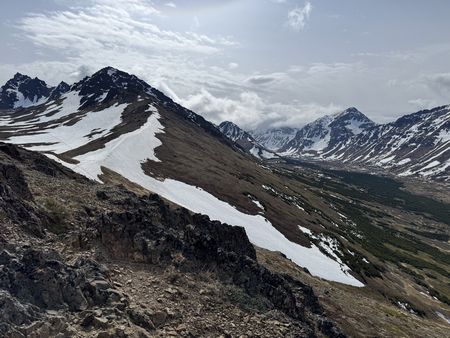 IMG_1535