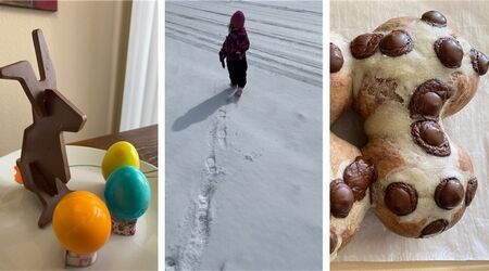 寒い春と二女とのホームスクール