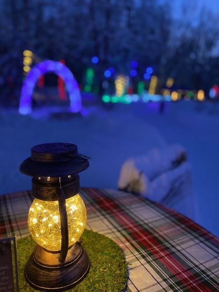 大雪で休校二日目～植物園のライトアップ
