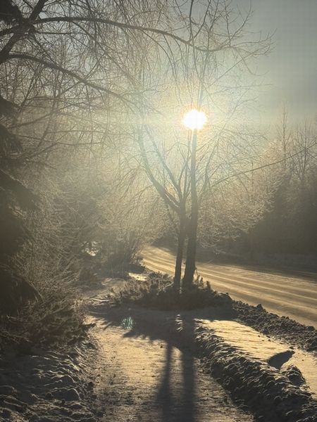 2025年の振り返り