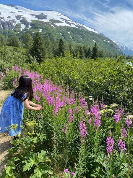 Fireweedの甘酒アイスクリーム