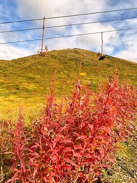 縦走ハイキング～Mt. Gordon Lyon & Rendezvous Peak