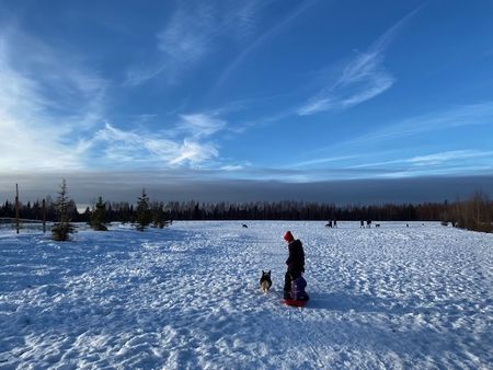 ドッグパーク～アイススケート～家での活動