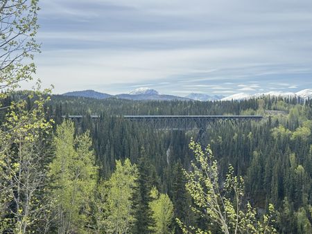 IMG_0970