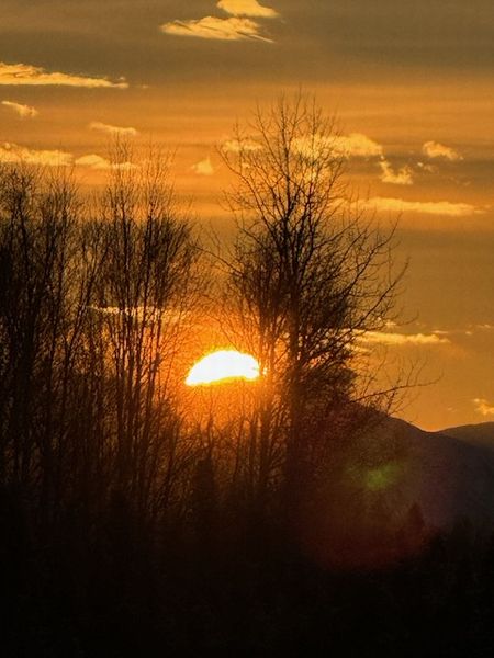 2025年に最幸を更新したこと♡