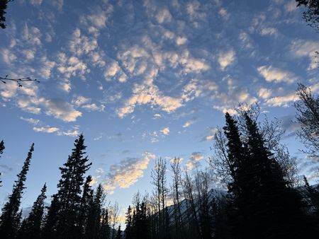 IMG_1177