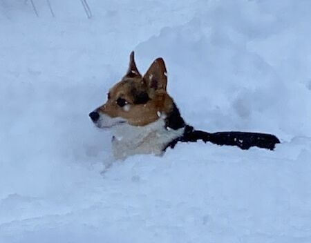 雪国コストを言い換えると？