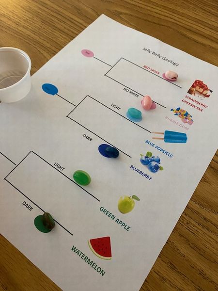 ボランティア25＆26週目の感想