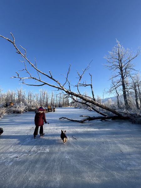 Rabbit Slough～小川でスケート