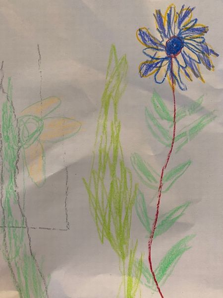 二女の学校決定～ロッタリー結果