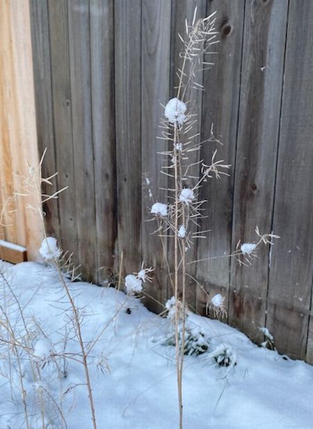 【アイススケート】2ターム目、修了