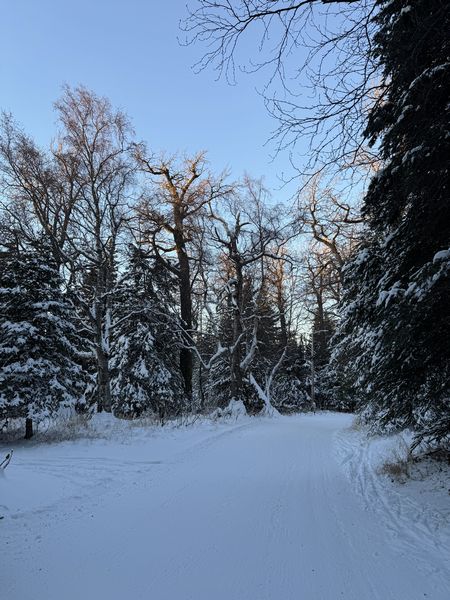 週末のクロカンスキー