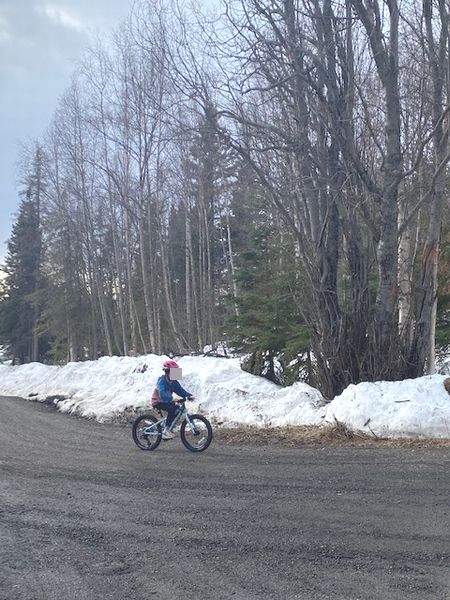 マリオムービーとサイクリング